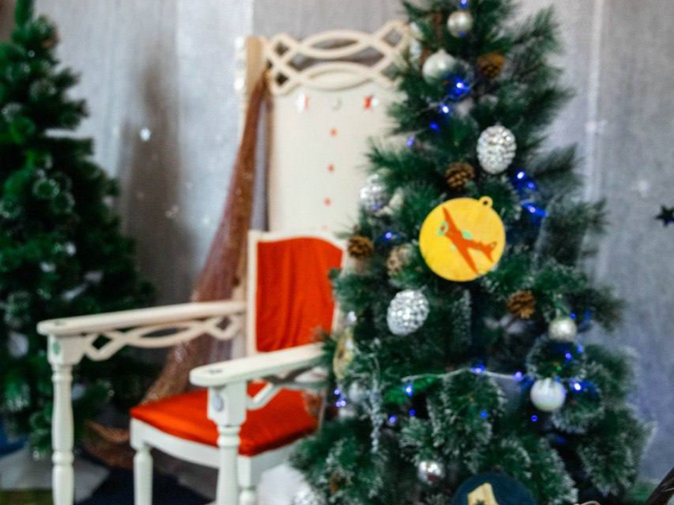 Фото: пресс-служба администрации г.о. Домодедово