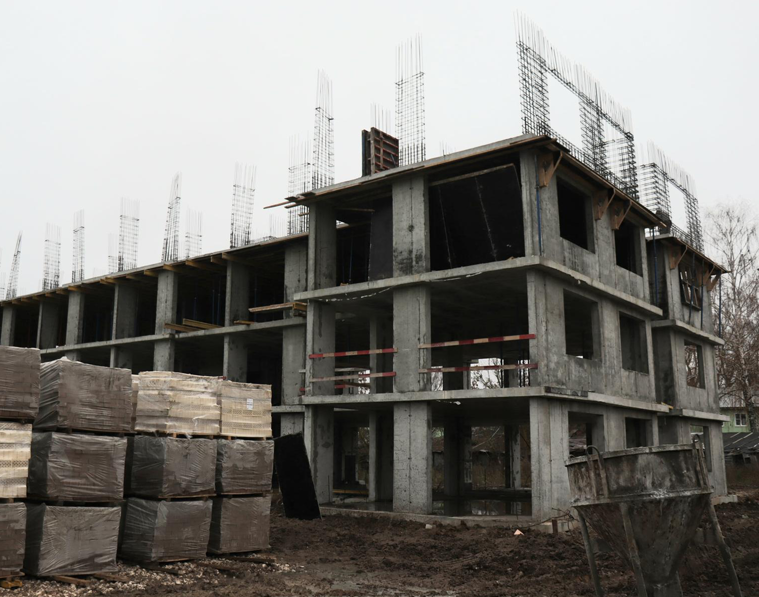 Фото: МедиаБанк Подмосковья/Татьяна Кострикина