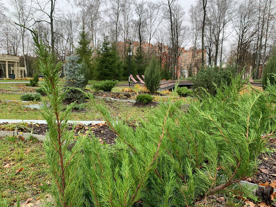 Фото: Парки Ступина