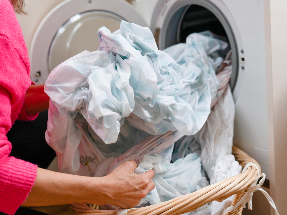 Фото: istockphoto.com/Iryna Melnyk