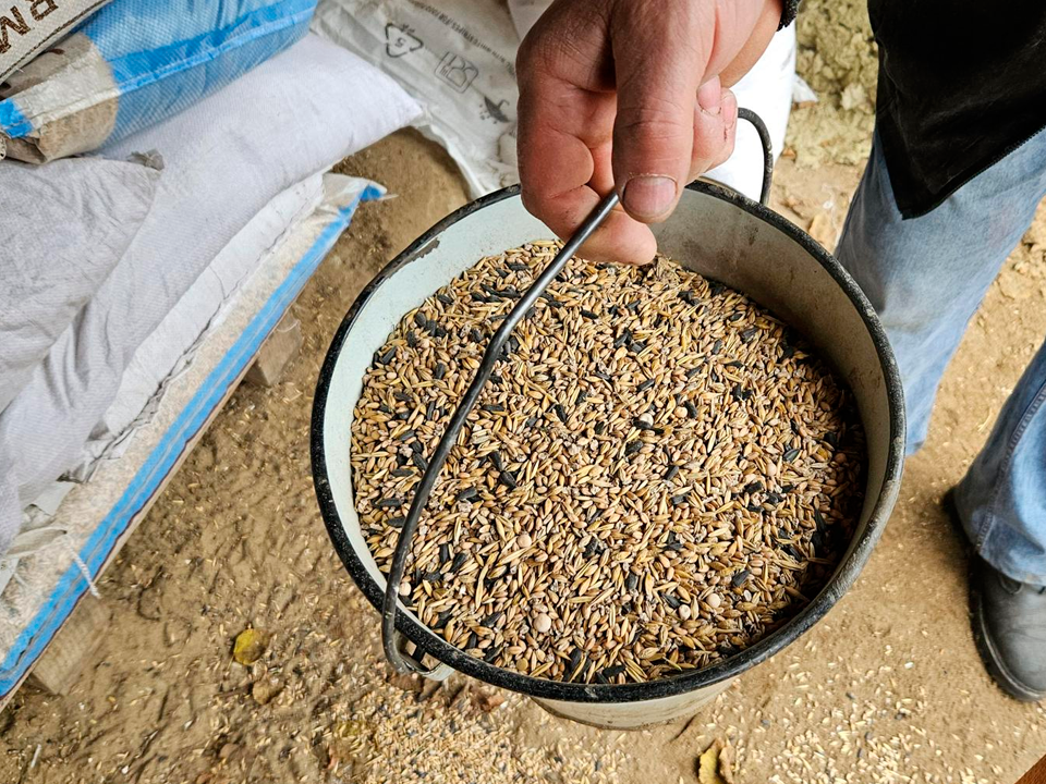 Фото: МедиаБанк Подмосковья/Вероника Горбачева