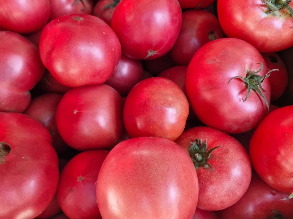 Фото: REGIONS/Наталия Надточая