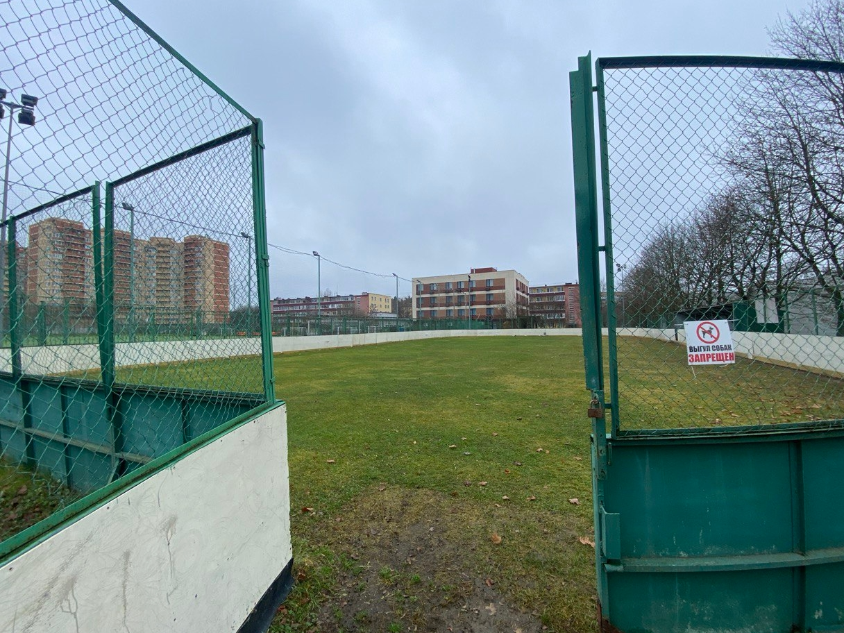 Фото: пресс-служба администрации Наро-Фоминского г.о.    