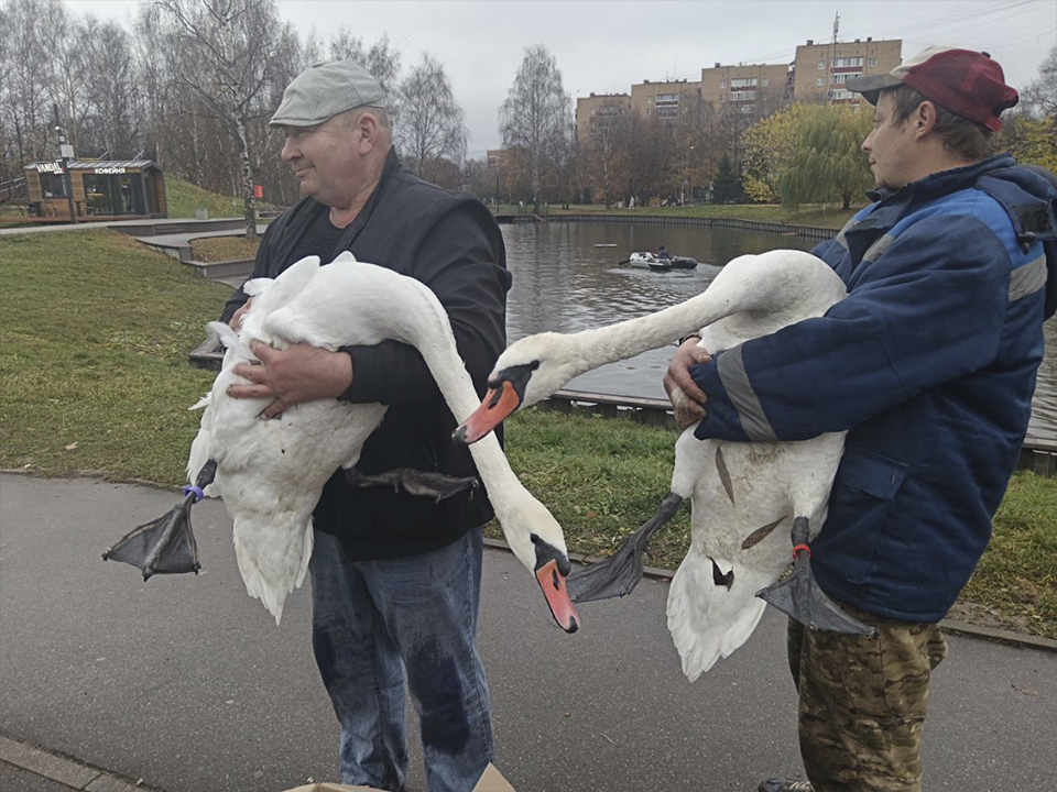 Фото: пресс-служба администрации г.о. Долгопрудный