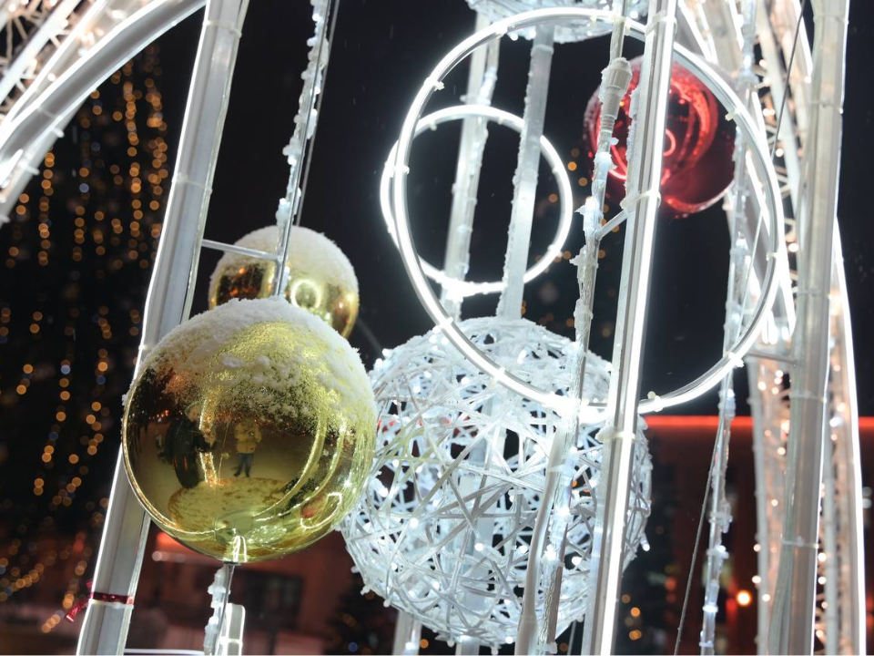 Фото: пресс-служба администрации г.о. Домодедово