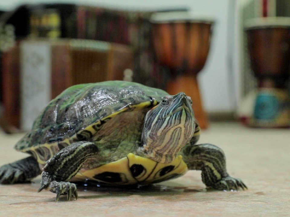 Фото: REGIONS/Наталья Надточая