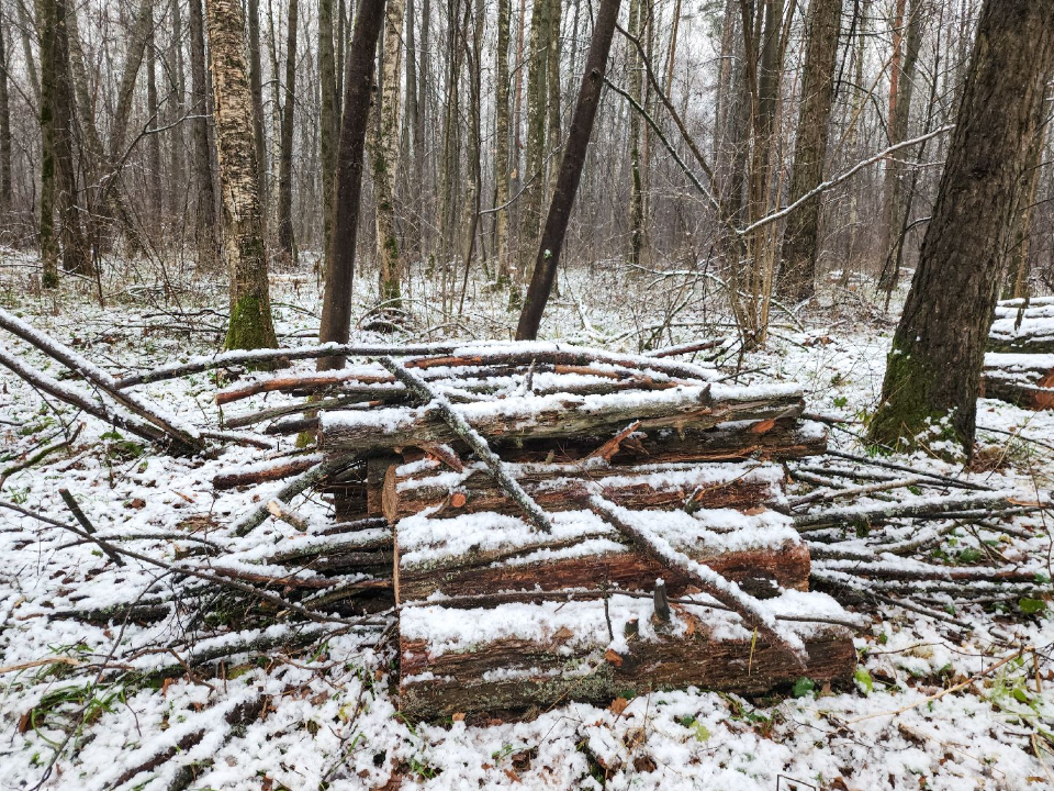 Фото: МедиаБанк Подмосковья/Мария Андрюхина