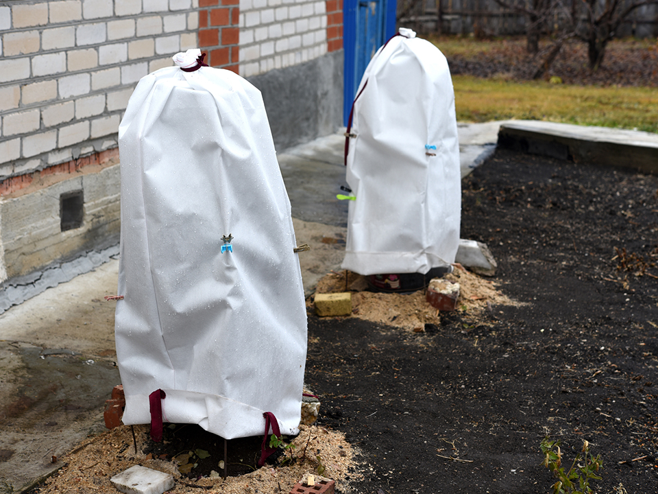 Фото: istockphoto.com/Valeriy Lushchikov