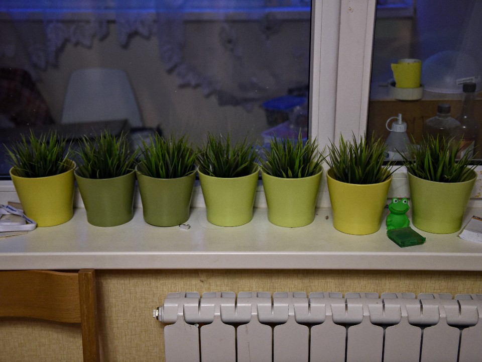 Фото: медиасток.рф