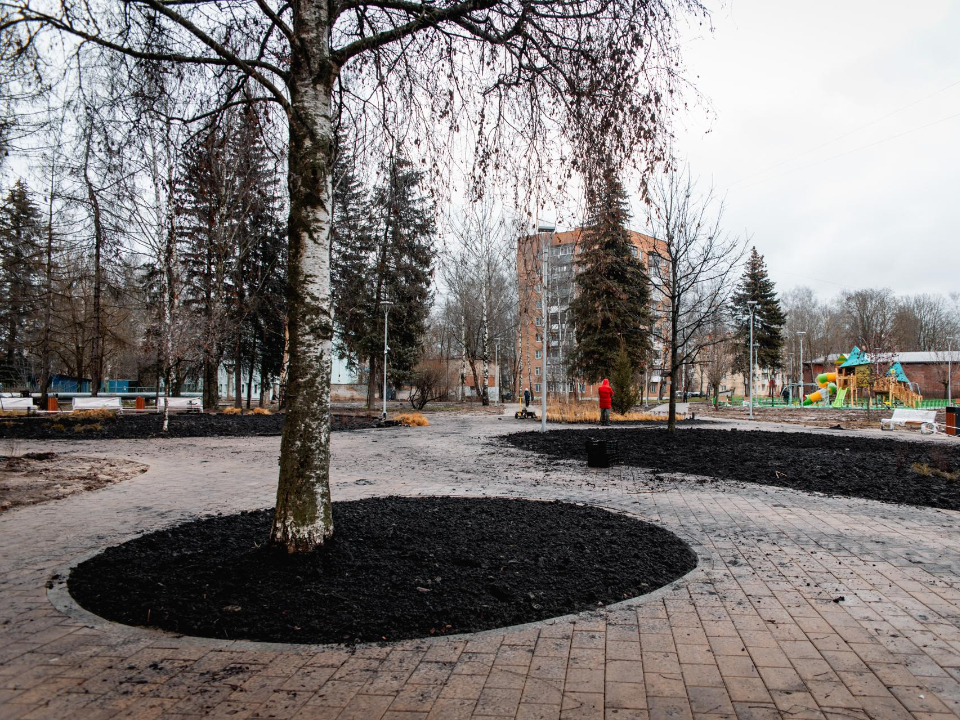 Фото: пресс-служба администрации г.о. Клин