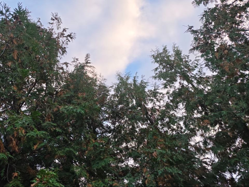 Фото: REGIONS/Ольга Никитина