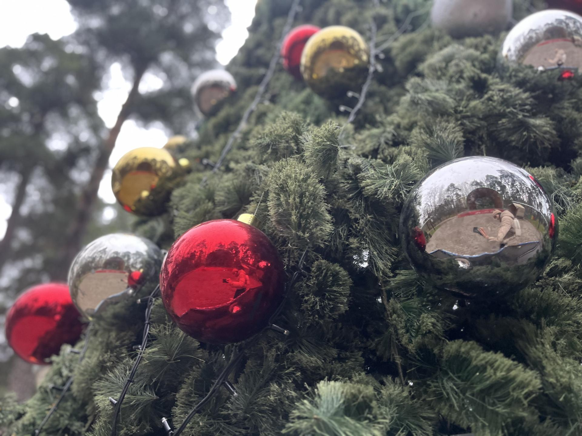 Фото: REGIONS/Кристина Ларина