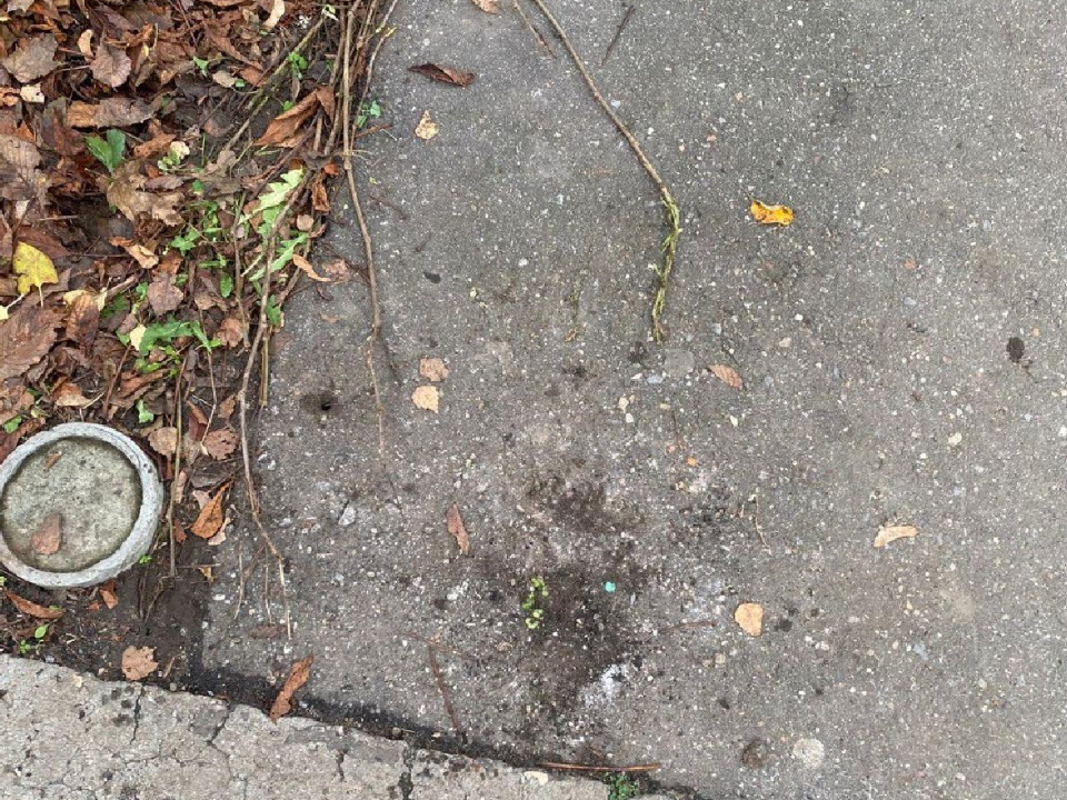 Фото: пресс-служба администрации г.о. Лосино-Петровский