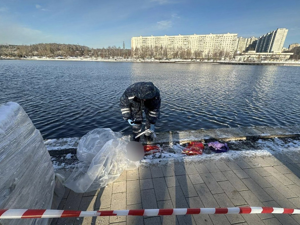 Фото: t.me/moscowproc