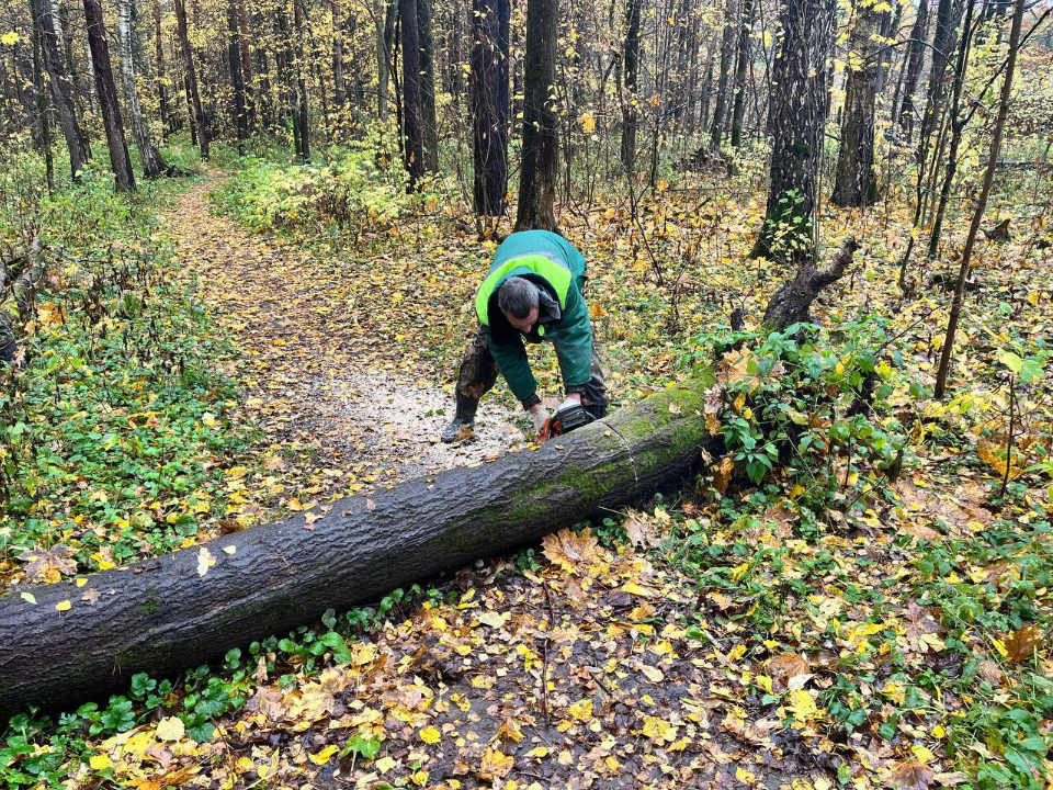 Фото: t.me/mosoblcomles