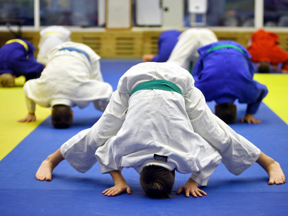 День самбо отмечают в России 16 ноября. Фото: медиасток.рф