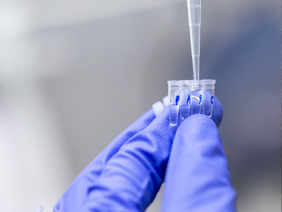 Фото: istockphoto.com/Sinhyu 