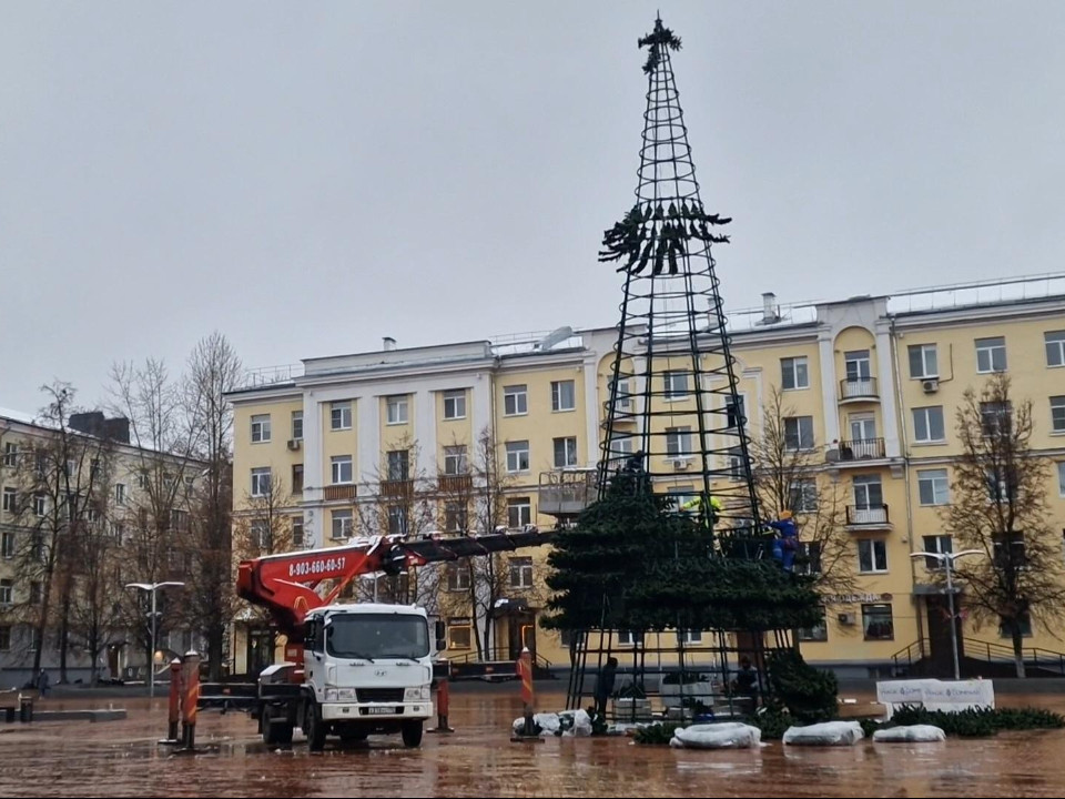 Фото: Виктория Фортуна