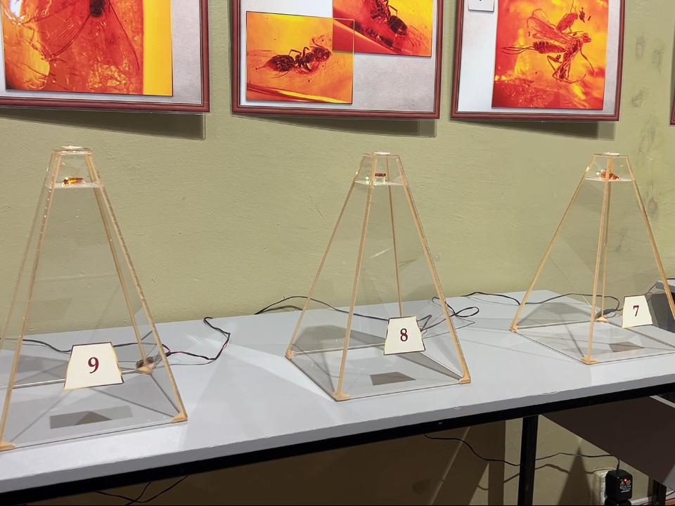 Фото: МедиаБанк Подмосковья/Виктория Фортуна