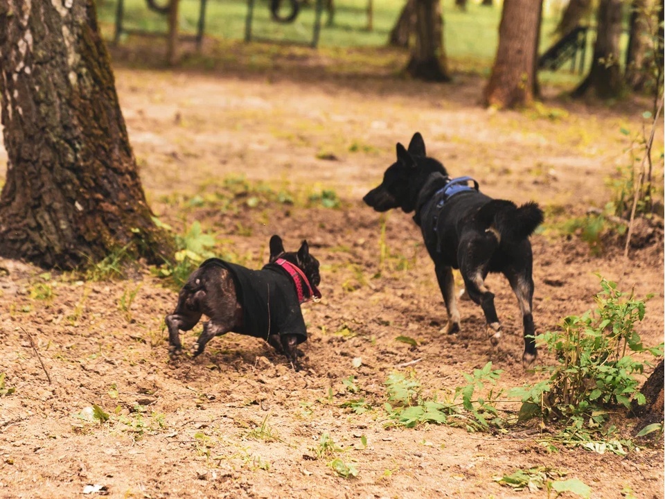 Фото: REGIONS/Наталия Надточая