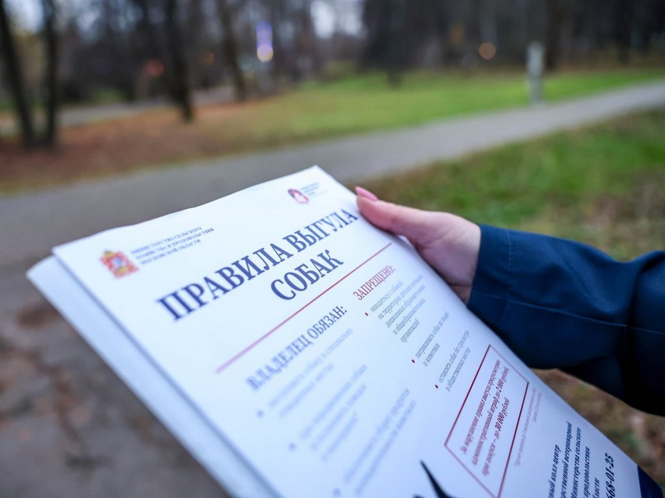 Фото: пресс-служба администрации г.о. Мытищи