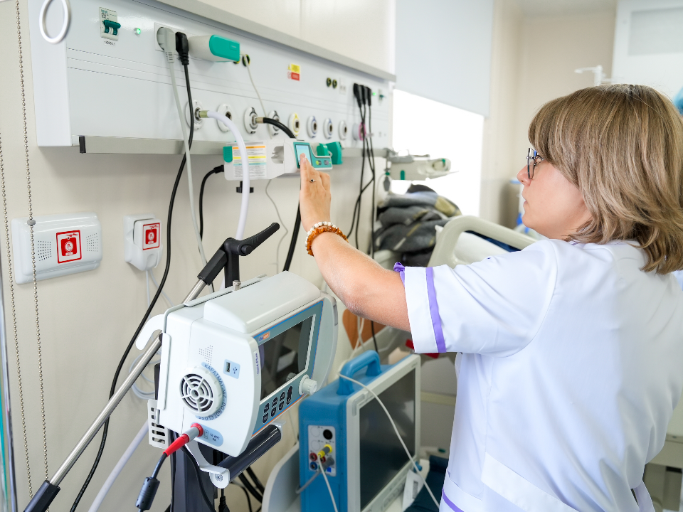 Фото: пресс-служба губернатора и правительства Московской области/Александра Степанова