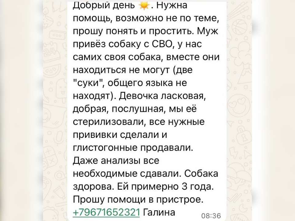 Фото: личный архив Галины Архиповой