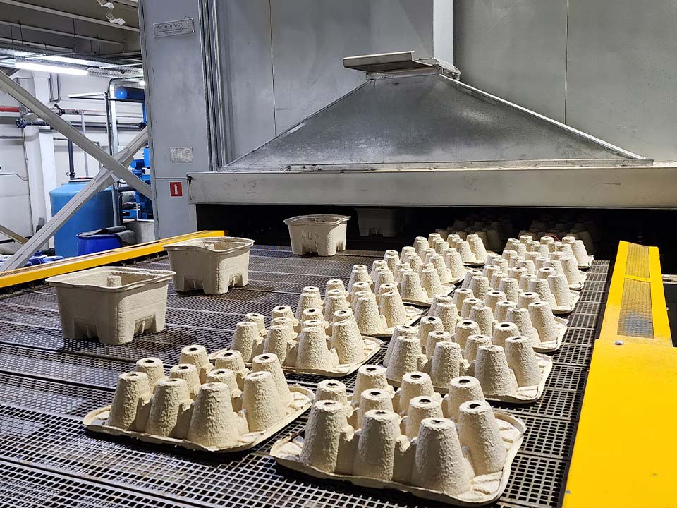 Фото: МедиаБанк Подмосковья/Валентина Максимова 