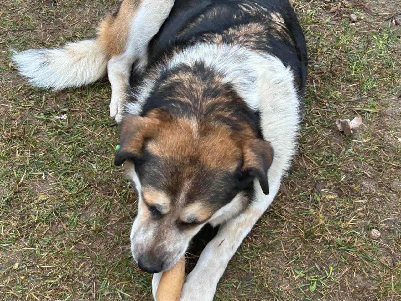 Фото: предоставлено пользователем Юлией