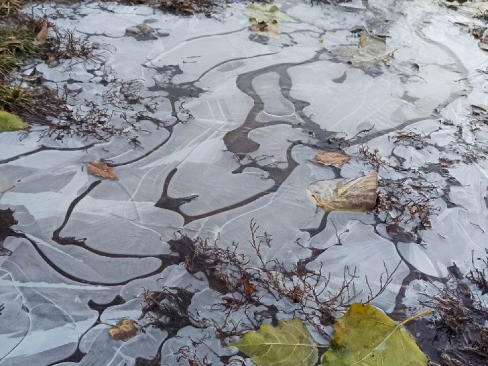  Фото: REGIONS/Эльвира Сафина