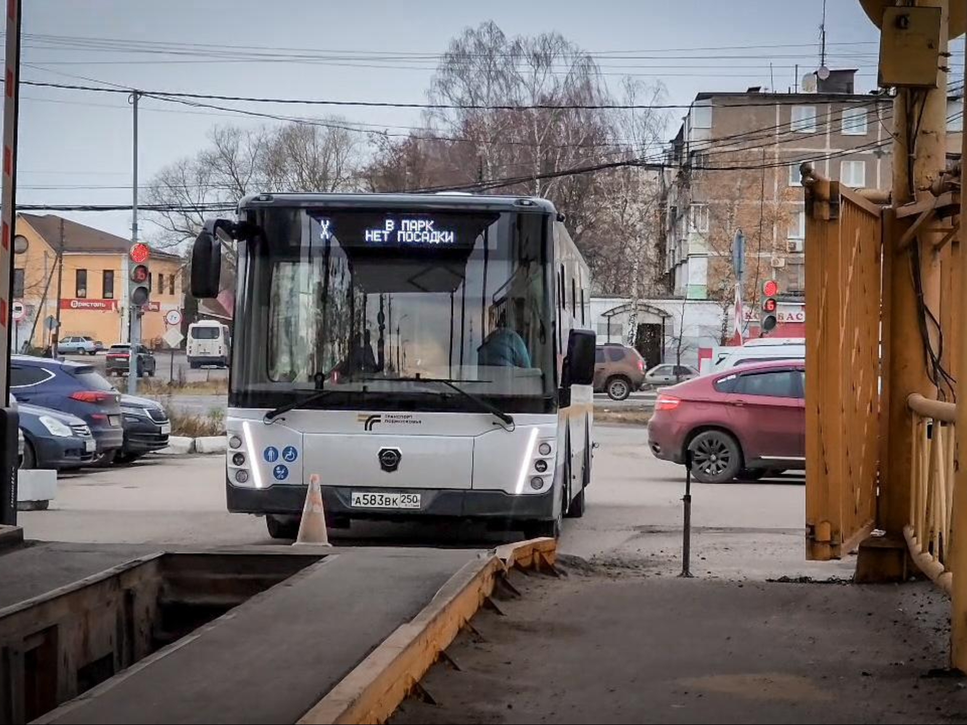 Фото: МедиаБанк Подмосковья/Ольга Антонова