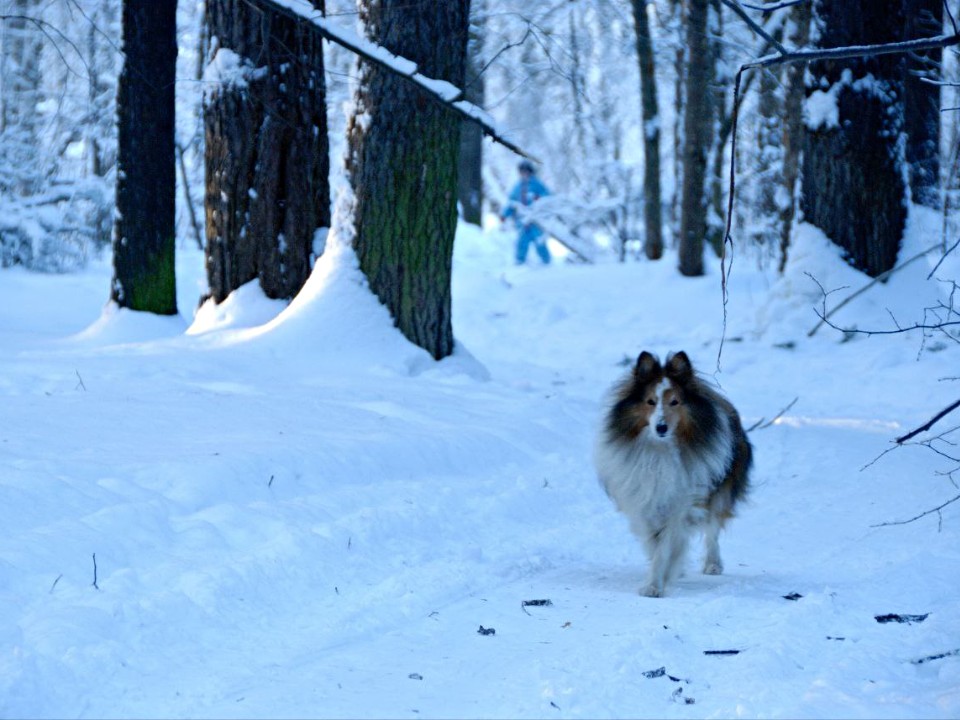 Фото: Максим Зубарев
