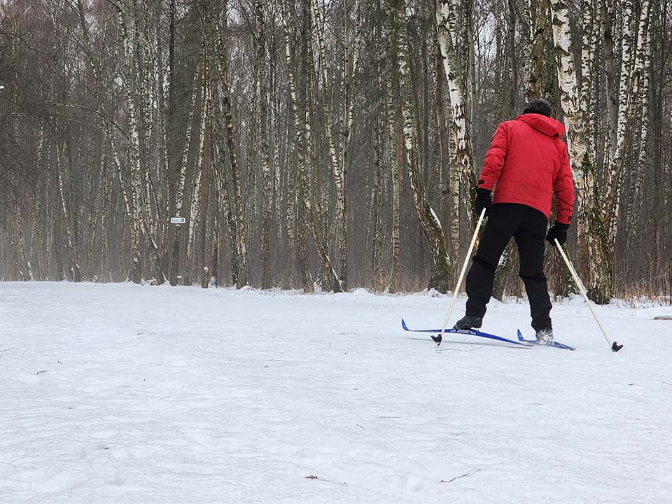 Фото: МедиаБанк Подмосковья/Анастасия Сараева