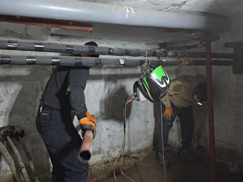 Фото: REGIONS/Елена Шумакова