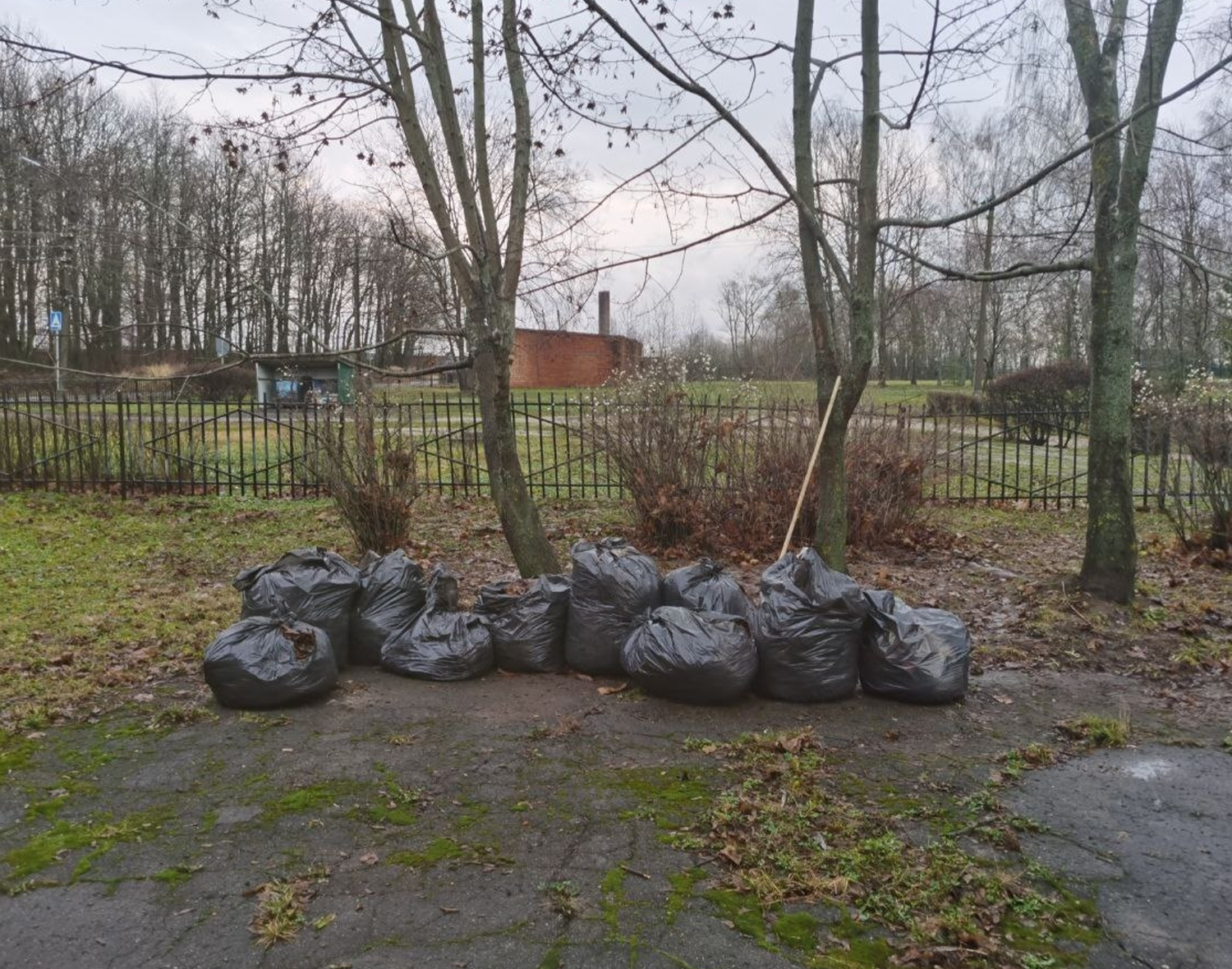 Фото: пресс-служба администрации м.о. Зарайск