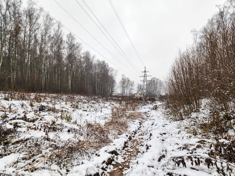 Фото: МедиаБанк Подмосковья/Мария Андрюхина