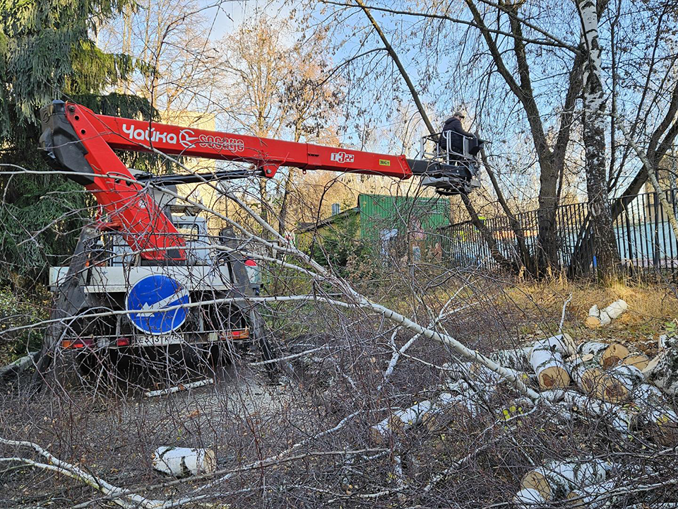 Фото: МедиаБанк Подмосковья/Вероника Горбачева