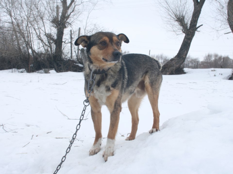 Фото: REGIONS/Дарина Левкина