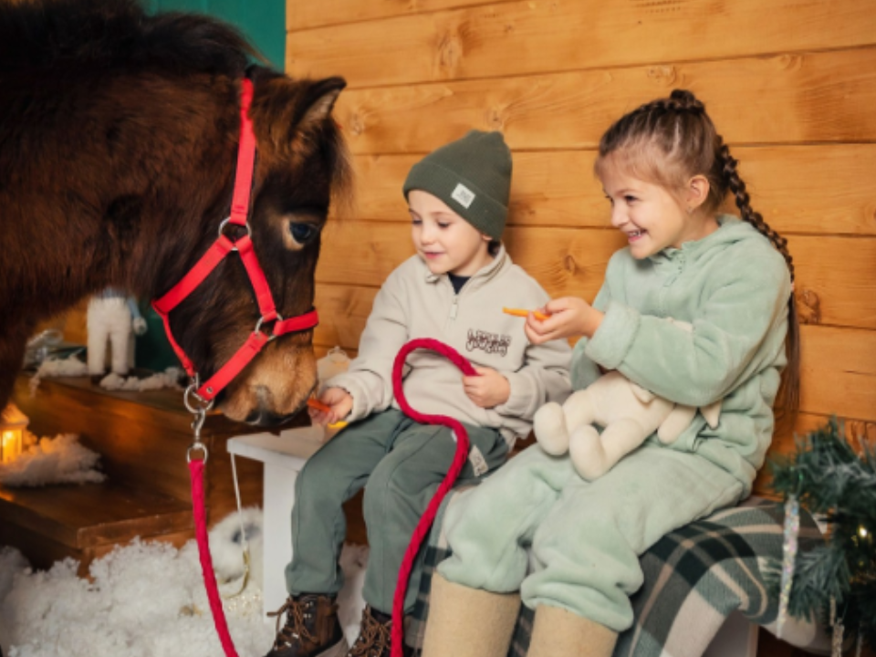 Фото: Ирина Шарова