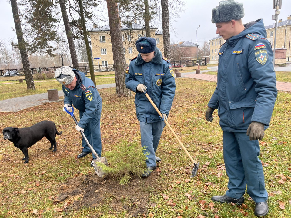 Фото: МедиаБанк Подмосковья/Ангелина Стельмух
