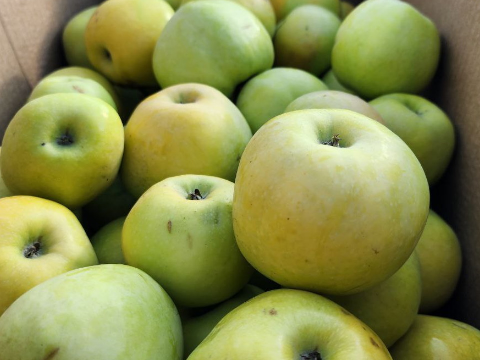 Фото: МедиаБанк Подмосковья/Анна Шолохова