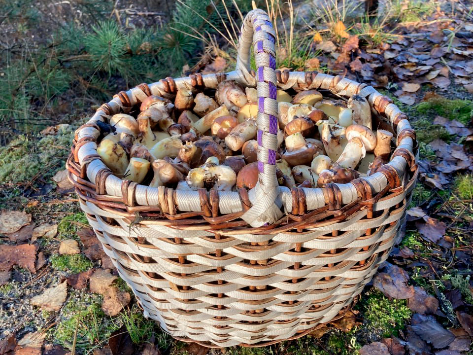 Фото: из архива Михаила Лапушкина