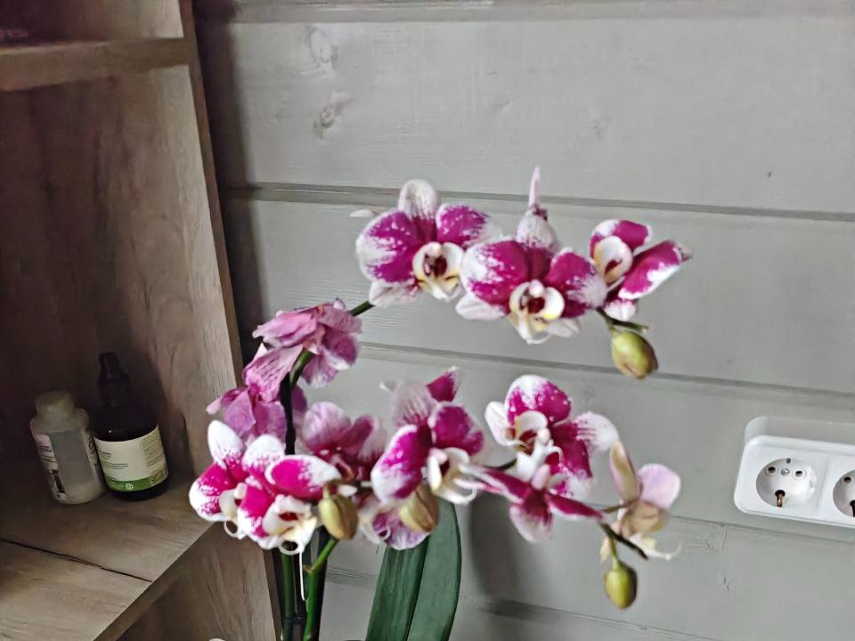 Фото: REGIONS/Максим Зубарев