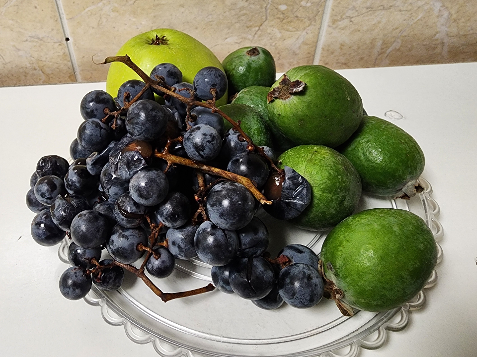 Фото: МедиаБанк Подмосковья/Мария Шигорева