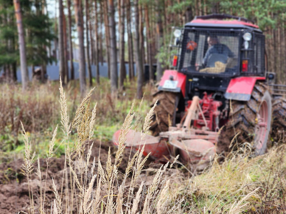 Фото: МедиаБанк Подмосковья/Елена Шумакова