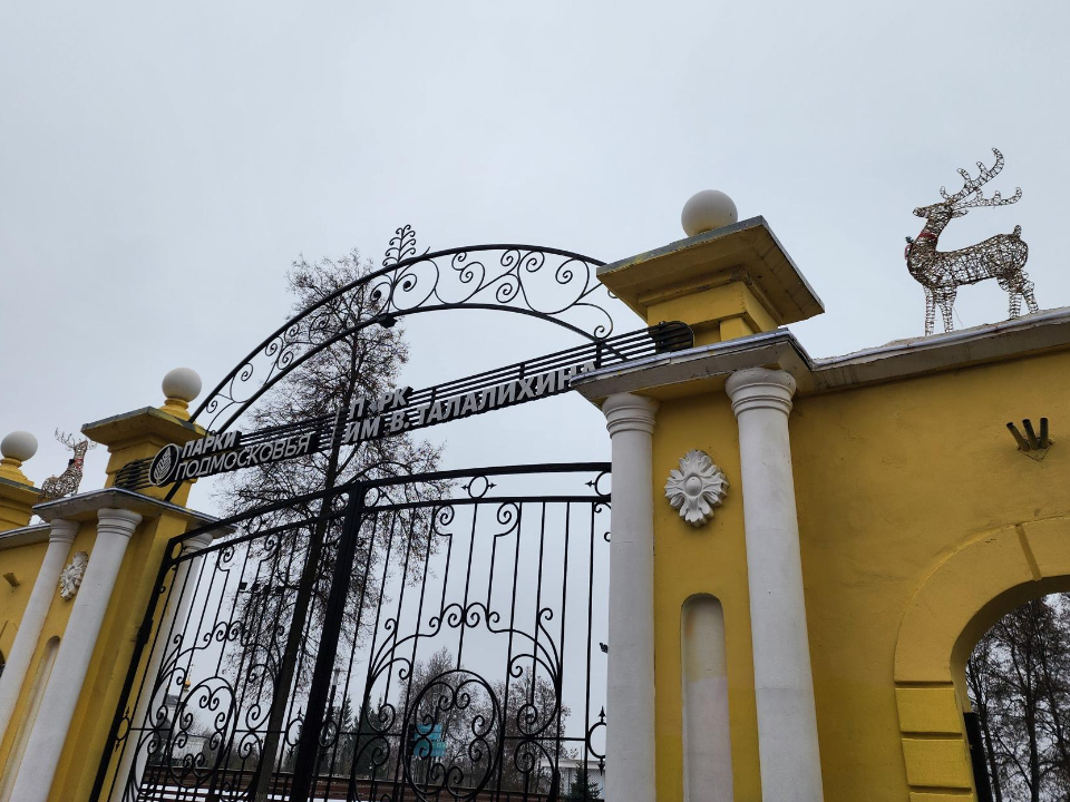 Фото: МедиаБанк Подмосковья/Мария Шигорева