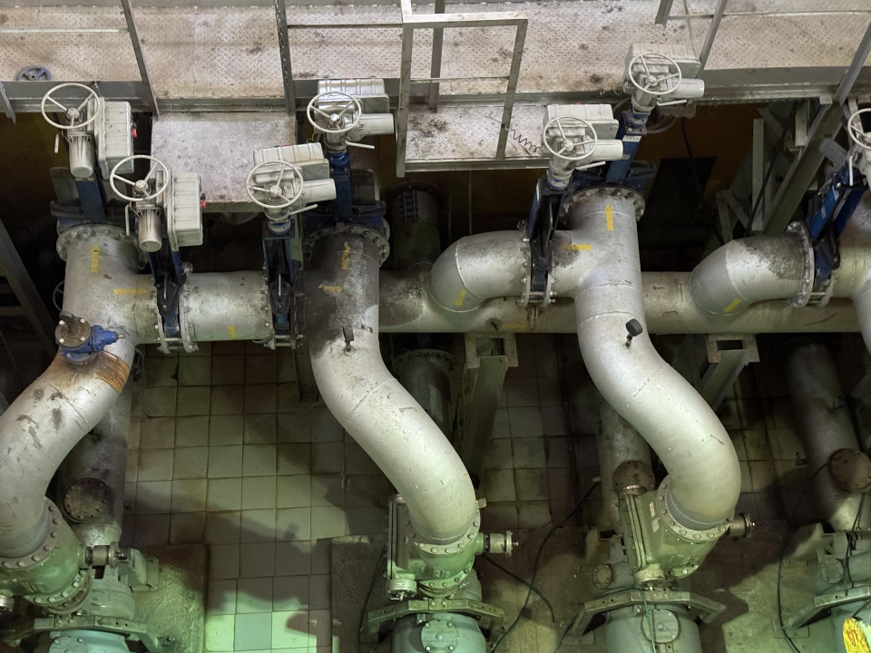 Фото: Полина Абраменко