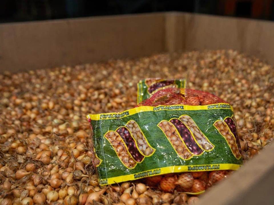 Фото: администрация городского округа Коломна