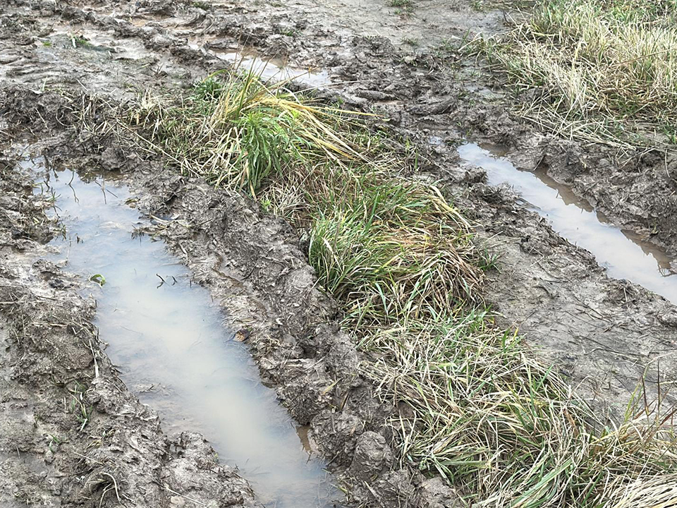 Фото: МедиаБанк Подмосковья/Кристина Тришина