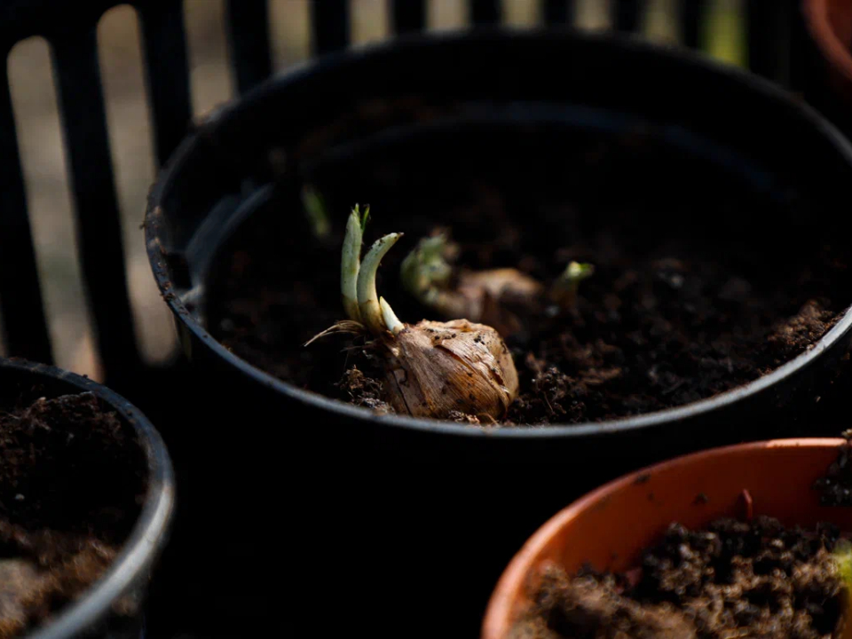 Фото: REGIONS/Наталия Надточая